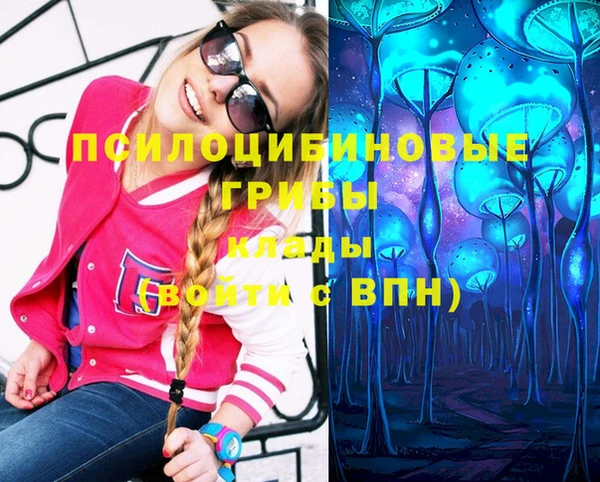 гашик Сосновый Бор