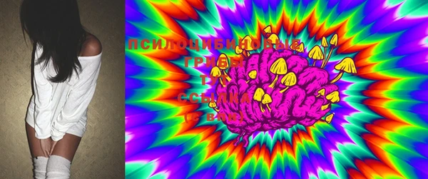 тгк Снежинск